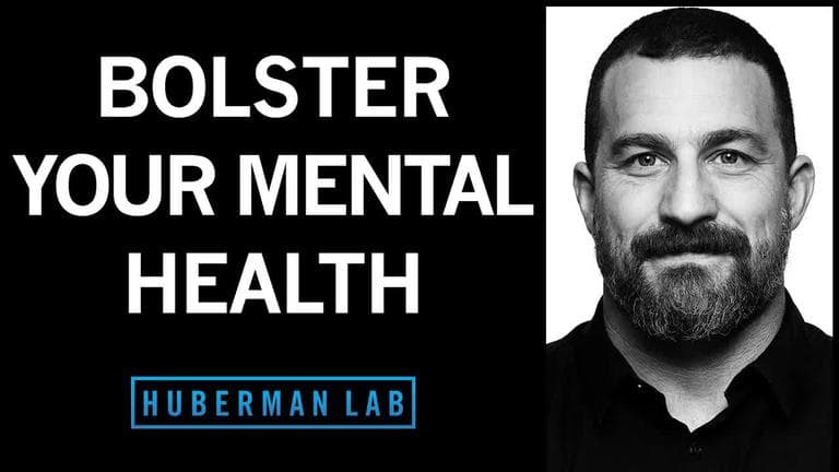 Mental Health Toolkit: Tools to Bolster Your Mood & Mental Health