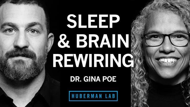 Dr. Gina Poe: Use Sleep to Enhance Learning, Memory & Emotional State | Huberman Lab Podcast
