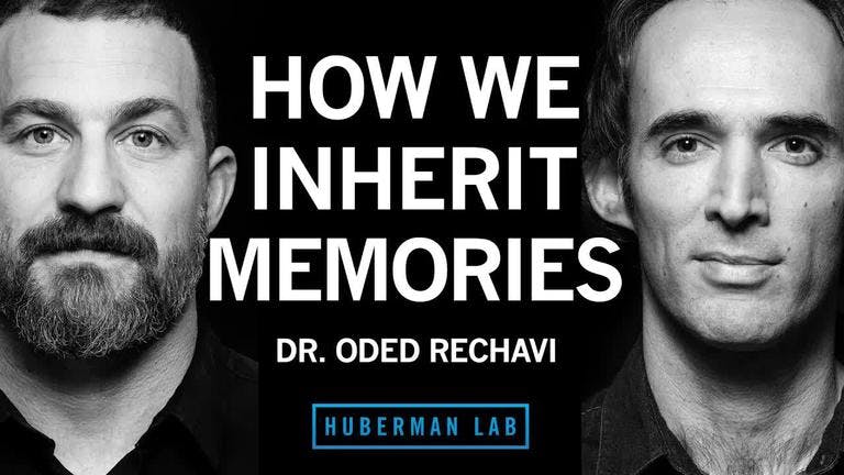 Dr. Oded Rechavi: Genes & the Inheritance of Memories Across Generations | Huberman Lab Podcast