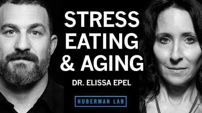 Dr. Elissa Epel: Control Stress for Healthy Eating, Metabolism & Aging | Huberman Lab Podcast