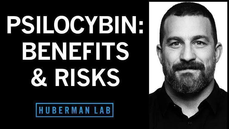 How Psilocybin Can Rewire Our Brain, Its Therapeutic Benefits & Its Risks | Huberman Lab Podcast