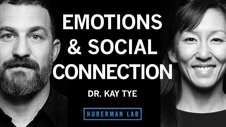 Dr. Kay Tye: The Biology of Social Interactions and Emotions