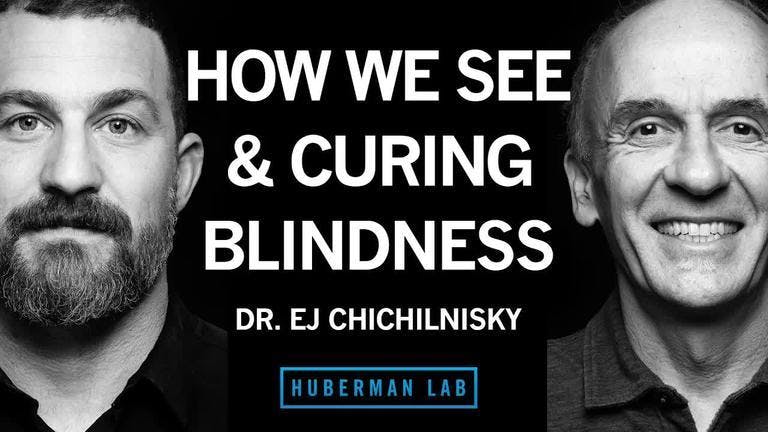 Dr. E.J. Chichilnisky: How the Brain Works, Curing Blindness & How to Navigate a Career Path